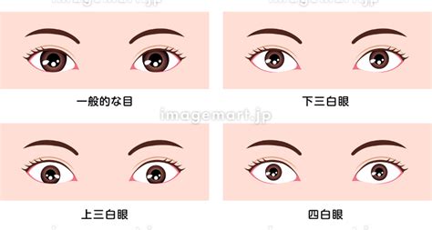 桃花眼 三白眼|目の形の種類一覧！自分の目の形が分からない人向けの確認方法も